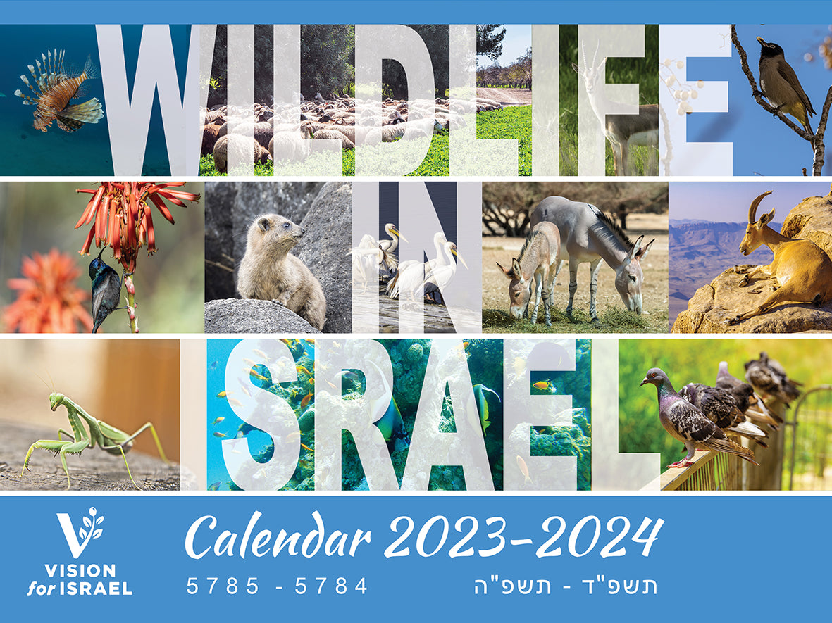 Cards & Calendars Vision for Israel USA