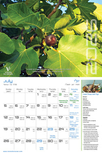VFI 2025-2026 Calendar