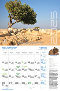VFI 2025-2026 Calendar